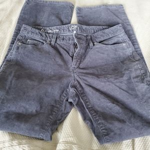 Loft curvy boot cut pants